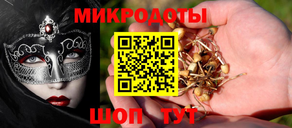 наркота  Псилоцибиновые грибы MAGIC MUSHROOMS  Вход с VPN  Ейск 