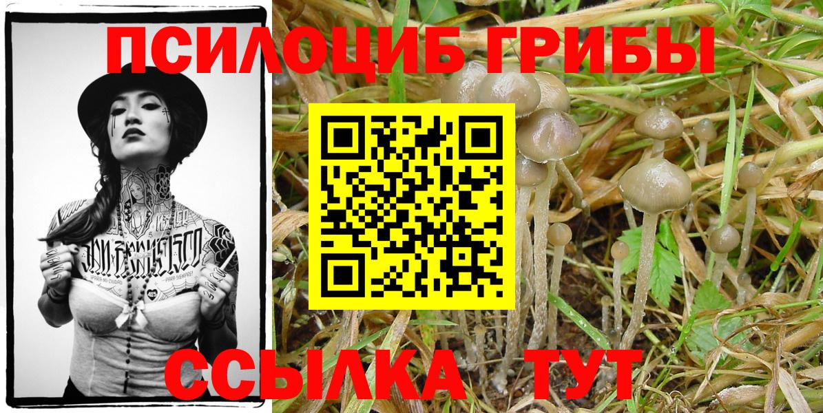 Конопля  Ейск  Вход с VPN  МЕФ кристаллы  Каннабис  Гашиш  COCAIN 